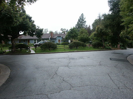 PICT0333