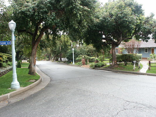 PICT0335