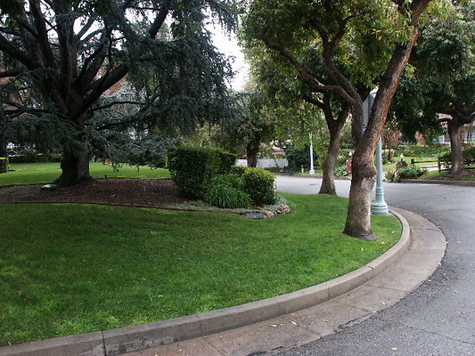 PICT0331