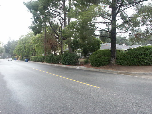 PICT0436