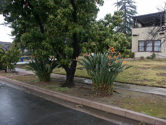 PICT0467