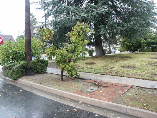 PICT0470