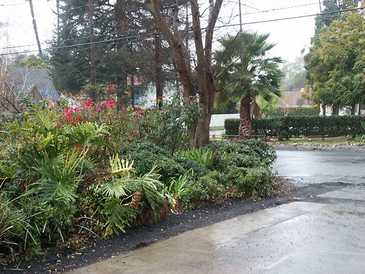 PICT0449