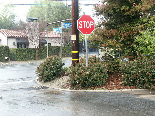 PICT0451