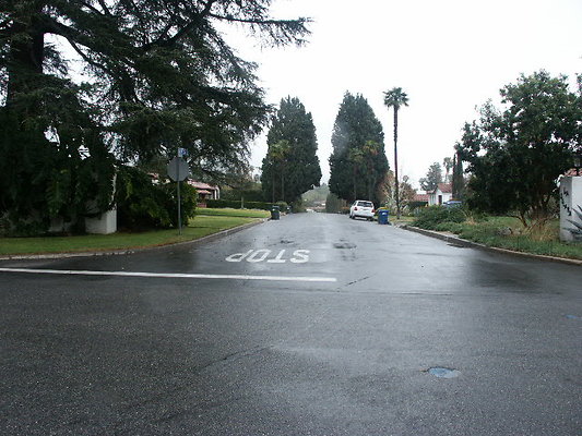 PICT0098