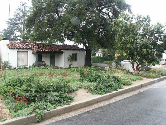 PICT0088