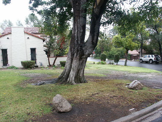 PICT0072