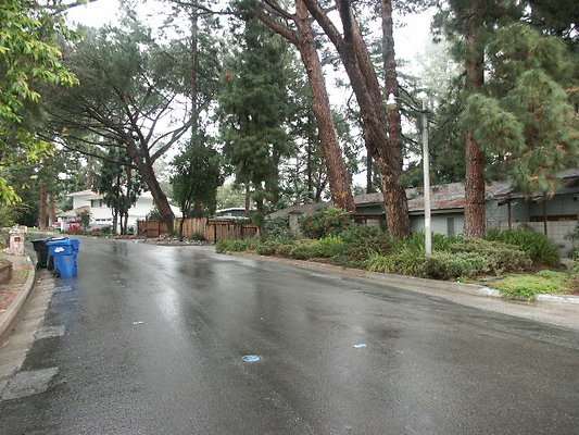 PICT0516