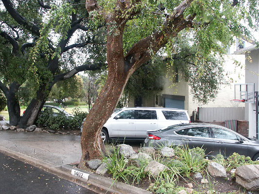 PICT0003