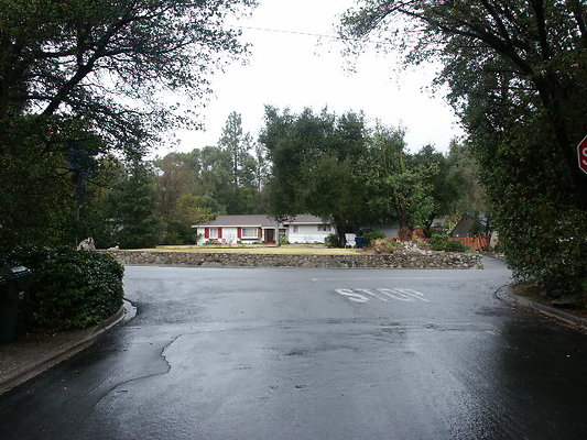 PICT0029