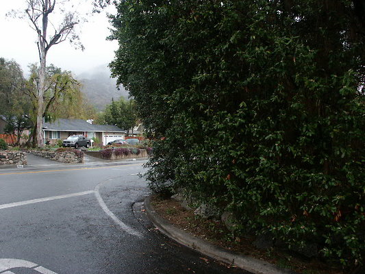 PICT0033
