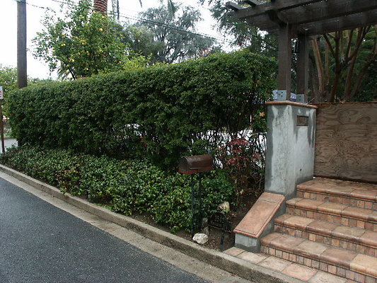 PICT0287