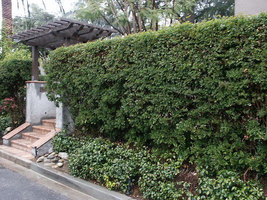PICT0284