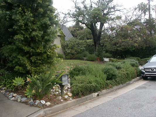 PICT0383
