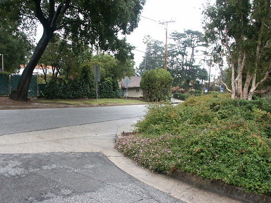 PICT0392