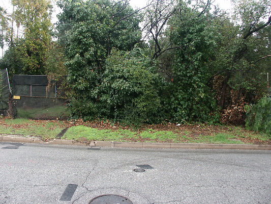 PICT0394