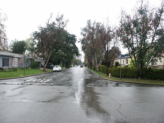 PICT0793