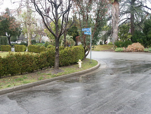 PICT0782