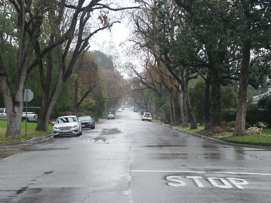 PICT0742