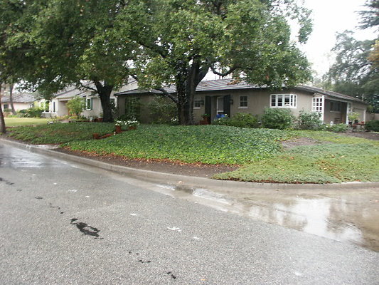 PICT0739