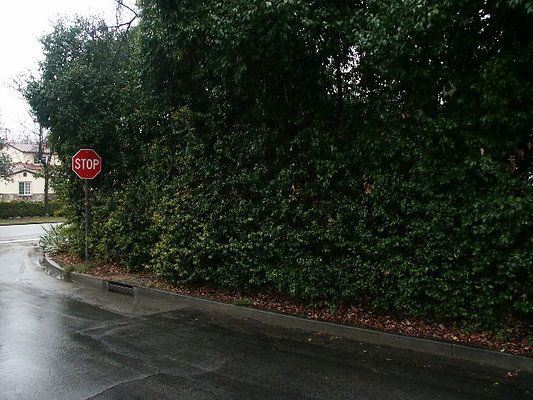 PICT0800