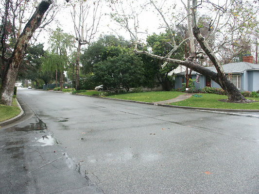 PICT0801