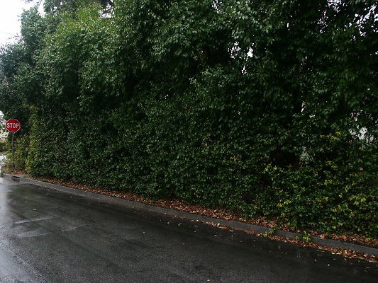 PICT0797