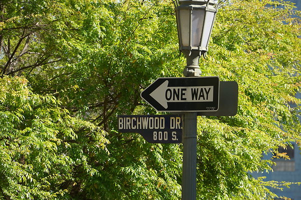 Birchwood At Devon.HH.101 hero
