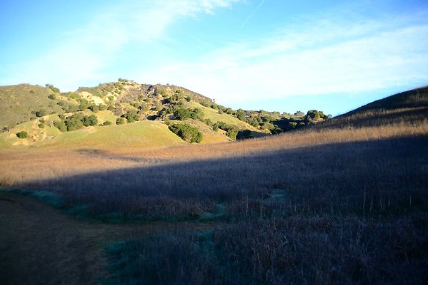 DSC 1139