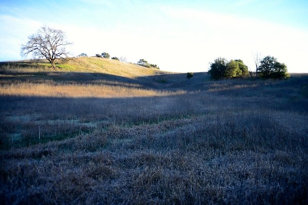 DSC 1140