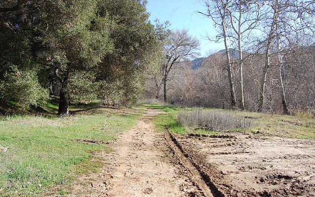DSC 0356