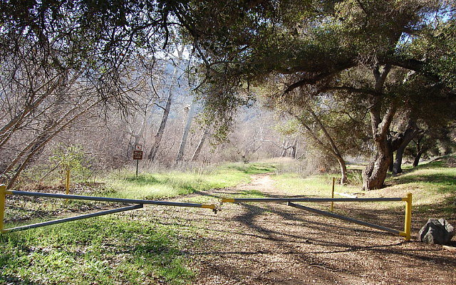 DSC 0349