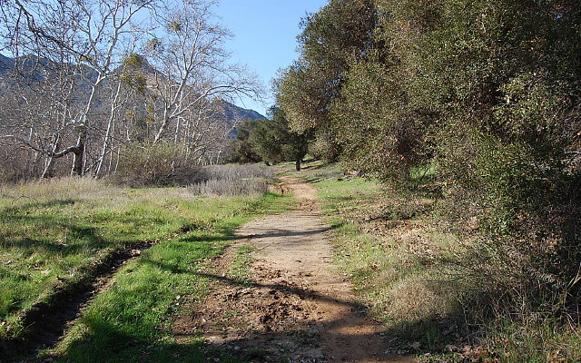 DSC 0351