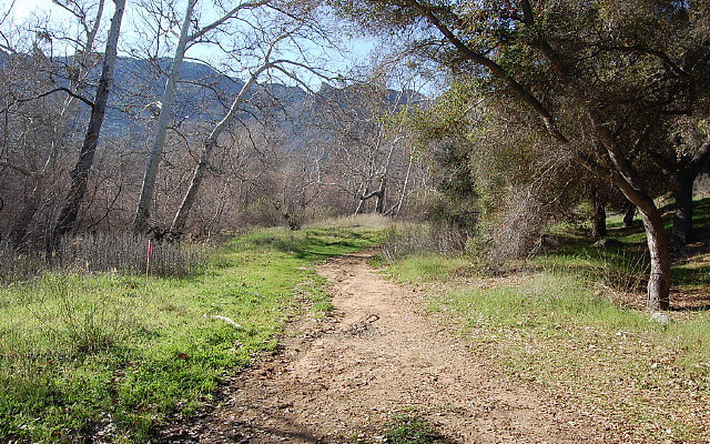 DSC 0350