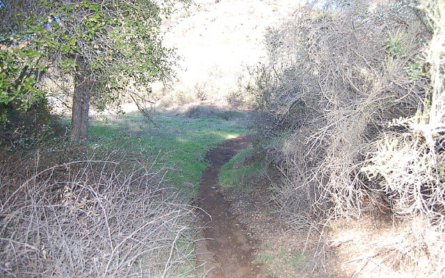 DSC 0367