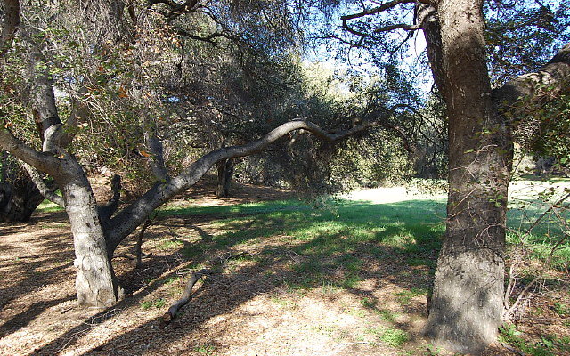 DSC 0405