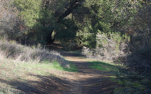 DSC 0370