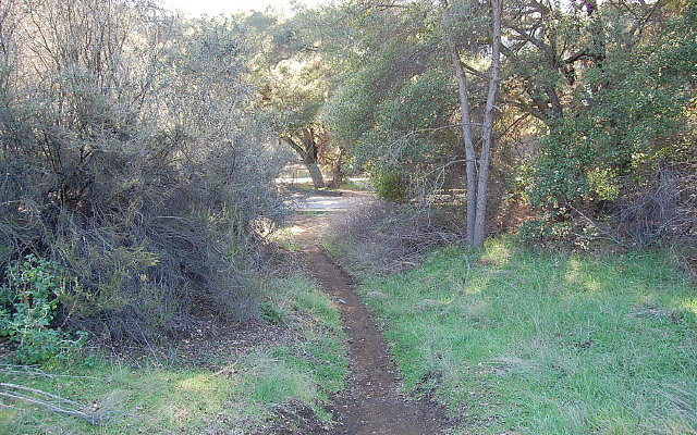 DSC 0369