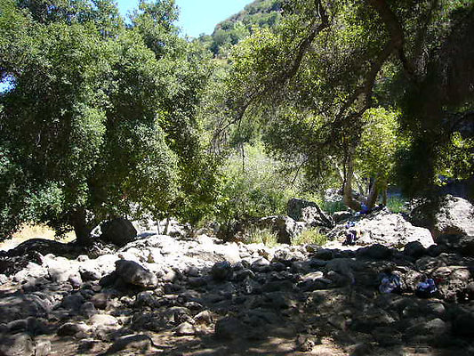 P1100319-M P1100319-M