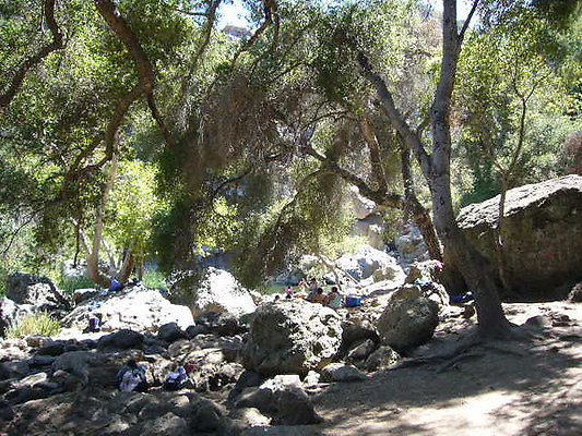 P1100320-M P1100320-M