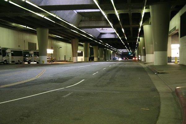 IMG 7019