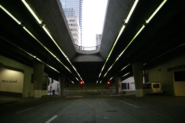 IMG 7005