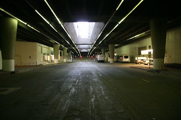 IMG 6996