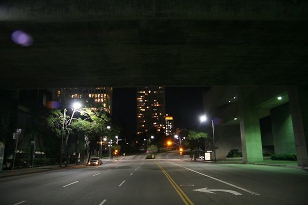 IMG 7283