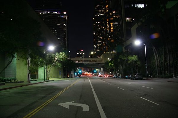 IMG 7275