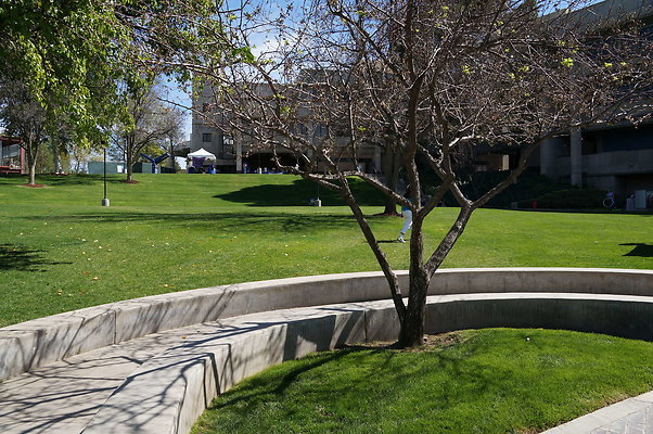 DSC00129