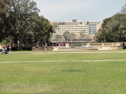 DSC08013