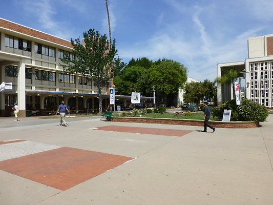 P1030006