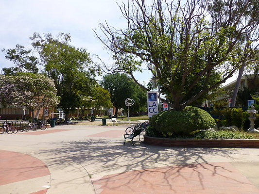 P1030005