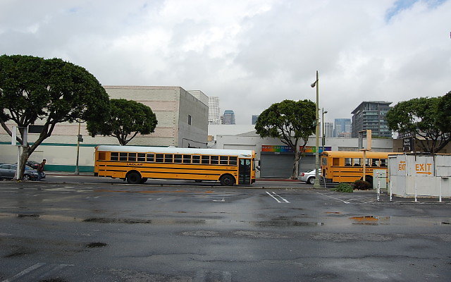 DSC 0091